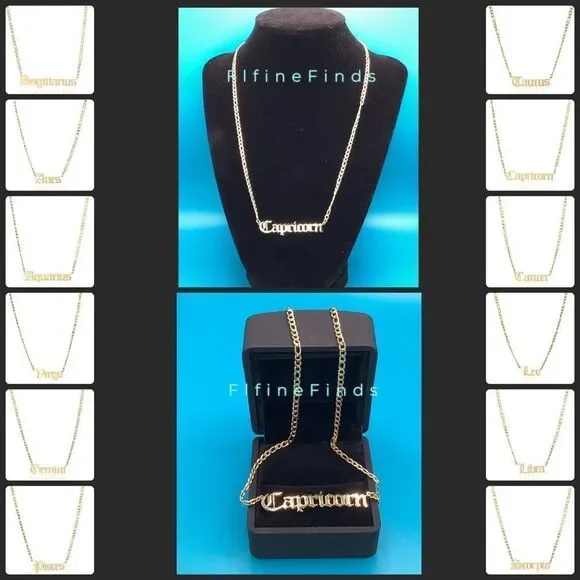 ⭐️🌙Capricorn Zodiac Nameplate on 14k Gold plated Figaro Chain⭐️🌙